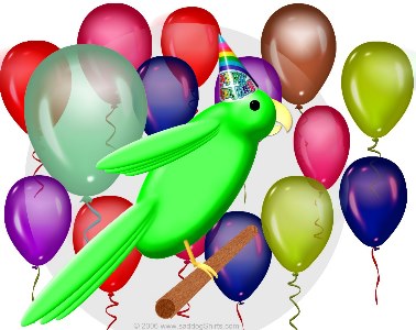 ../Images/Birthday parrot.jpg